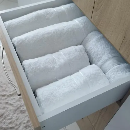 Apartment The Guest 2025