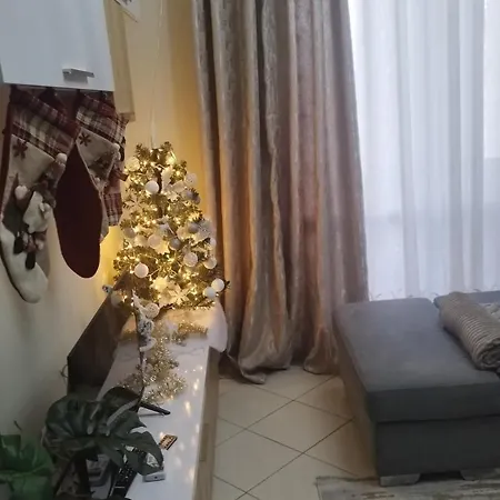 The Guest 2025 * Fier