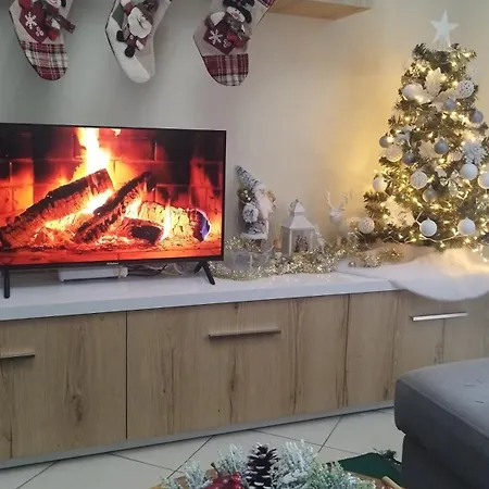 The Guest 2025 Daire *