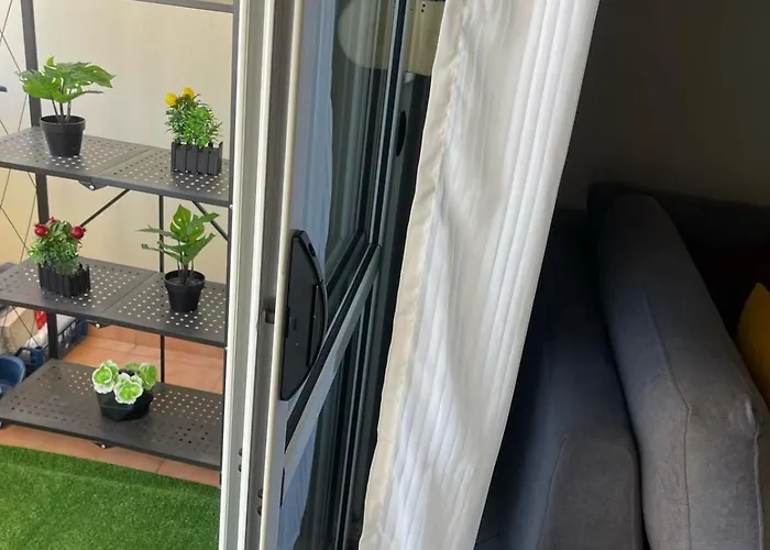 The Guest 2025 Daire Fier