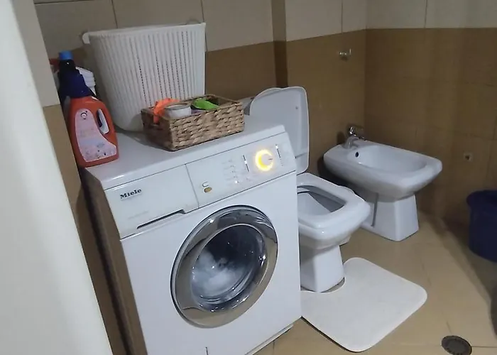 Daire The Guest 2025