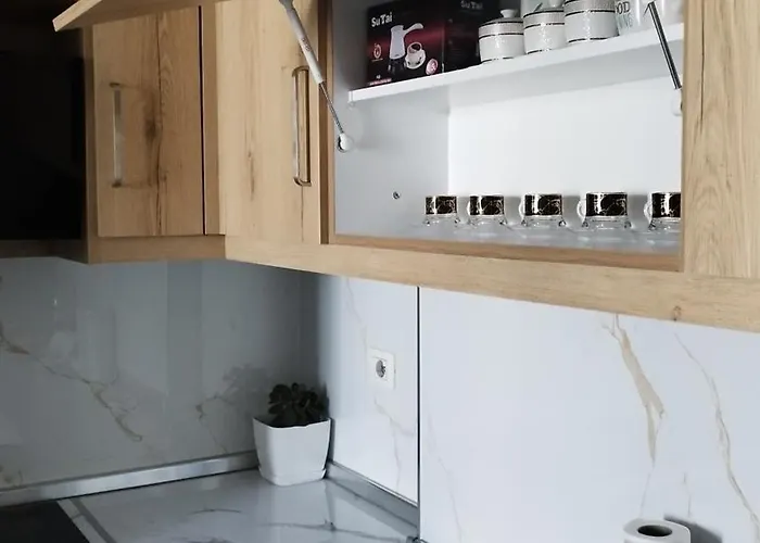 Daire The Guest 2025 *