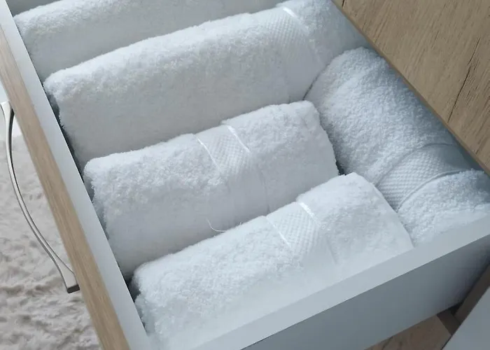 Daire The Guest 2025