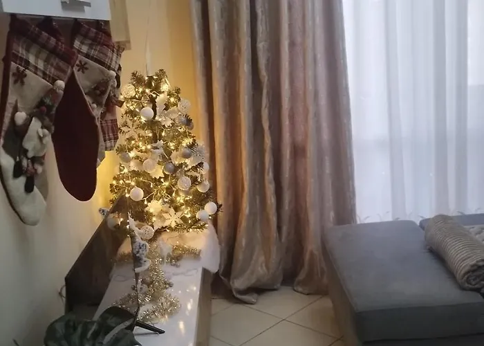 The Guest 2025 * Fier