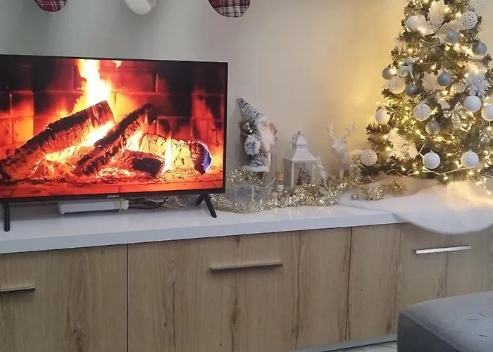 The Guest 2025 Daire *